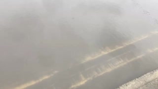 Climate Crisis Solved In Three Minutes