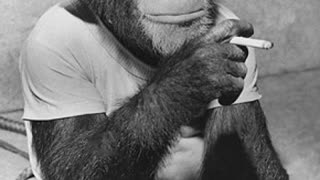 Trying to inform the masses is tough