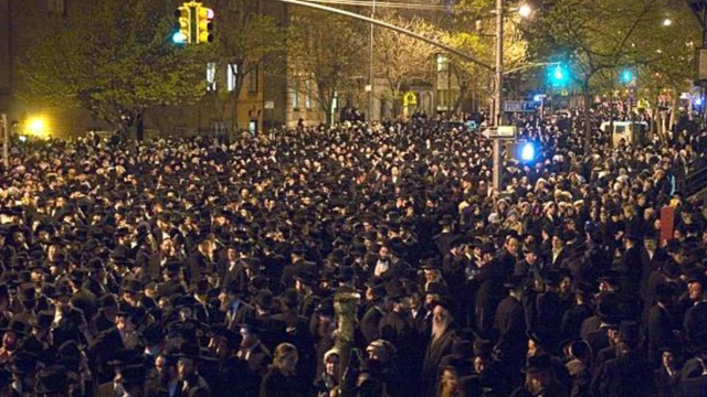 Cockroach Infestation