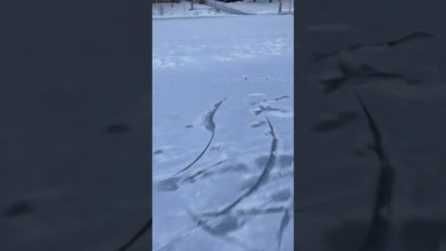 Peculiar Message In The Snow