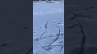 Peculiar Message In The Snow