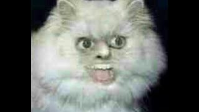 THE EDGIEST VIDEO ON THE INTERNET