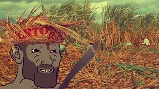 CHAD Puerto Rican Jibara country Music