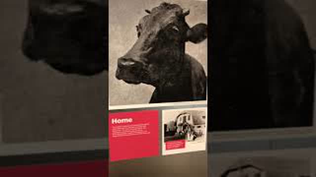 SATANIC ISRAEL EXHIBIT AT NWO CONFERENCE (2021 Biennale)