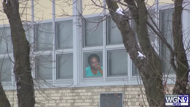 Six Million Chicken Wings