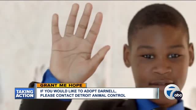 Grant Me Hope - Darnell