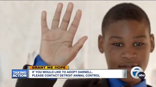 Grant Me Hope - Darnell