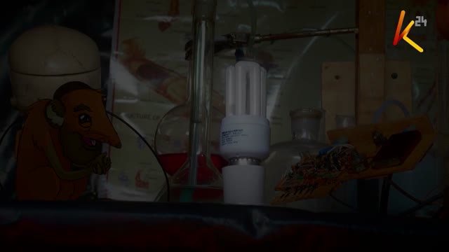 WE WUZ ROBOTIC ENGINEERZ