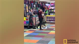 The Skee-Ball Smuggler