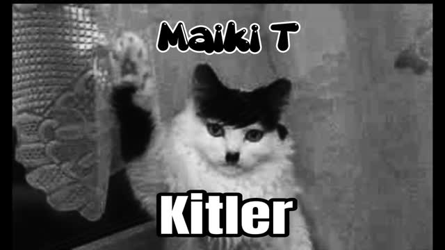 Maiki T - Kitler