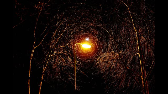 "Bros (remix)" by Terrestrial Tones