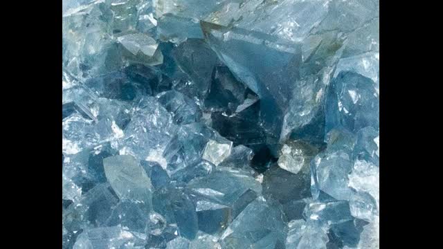 "Summertime Clothes (live)" by Animal Collective