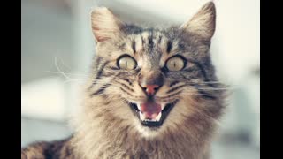 "Fun Dink Death" by Eric Copeland