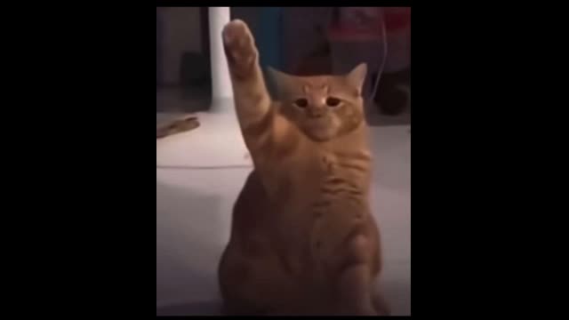 Goyim TV Top 40   Live with Holydiver   Week 19