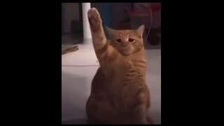 Goyim TV Top 40   Live with Holydiver   Week 19