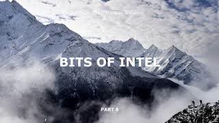 Bits of Intel - part 8