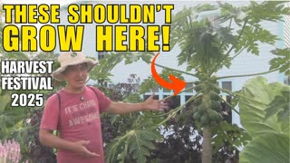 2025 Baker Creek Heirloom Harvest Festival - Highlights You Missed