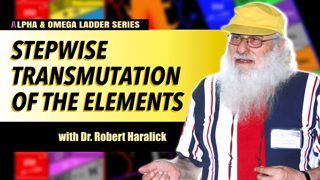 Plasmoids, Water & Transmutation | Dr. Robert Haralick | Alpha & Omega Ladder Series: Part 1