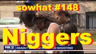 sowhat  148   Niggers