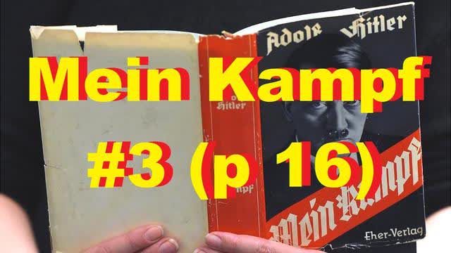 Mein Kampf #3 (p 16)