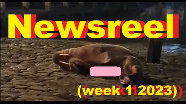 sowhat? #129   Newsreel (week 1 2023)