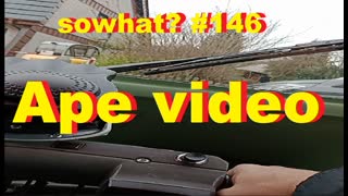 sowhat  146   Ape video