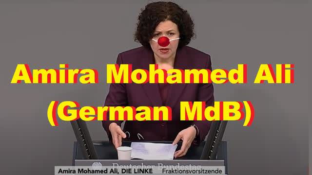 Amira Mohamed Ali (German MdB)