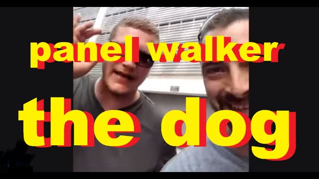 panel walker   the dog