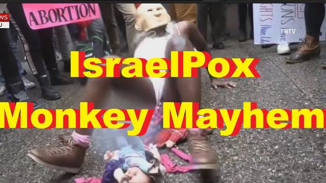IsraelPox - Monkey Mayhem