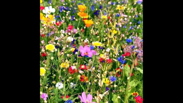 American Jewish Oligarchs 1800 AD-Present