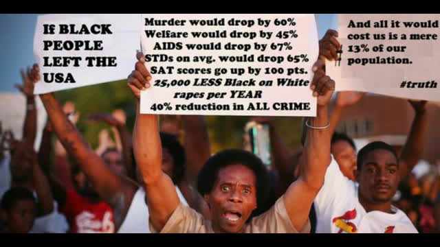 Jewish Incited Negroes Attack Anyone Who Isn't Black: A Compilation