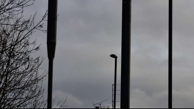 RABBI AMNON YITZCHAK (5G DEATH SURVEILLANCE CITIES NO PRIVATE OWNERSHIP, COMMUNISM)