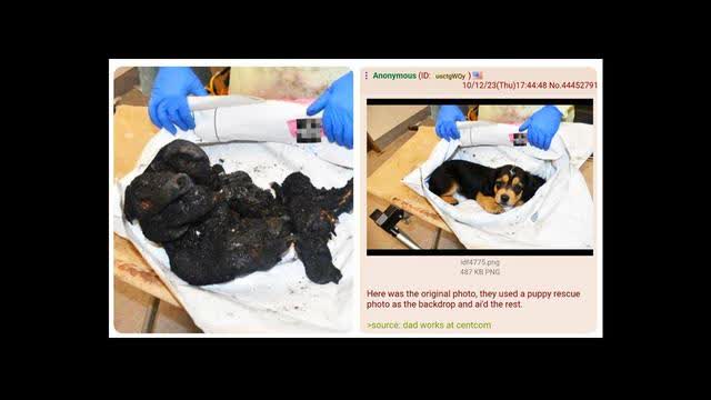 Burnt Baby Bullshit - Jewry's Atrocity War Propaganda - LIES!