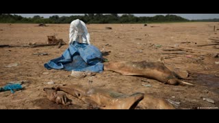 Jews are Destroyers: Climate Change Grift