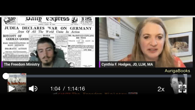 TFM Interviews Author Cynthia Hodges - "Rise of the Reich"