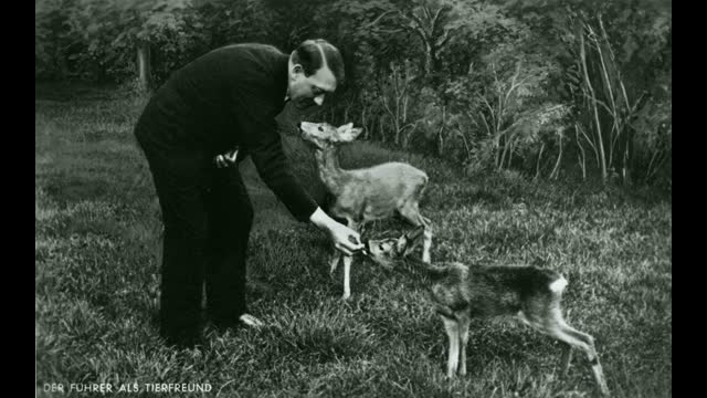 National Socialist SSunday Meetup (Jews, Hitler, Marxism, Bible, etc) Feb. 22, 2026