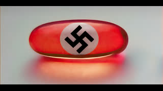 Hitler, Holocaust and Jewish Lies (SSunday Meet Up 1/25/26)