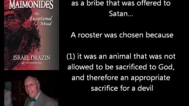 Jewish Ceromonial Animal Murder To Lucifer - Kaparot