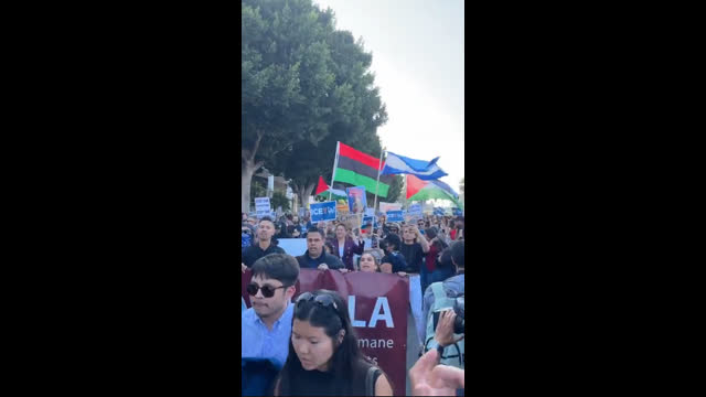 Fighting for illegal invaders while flying their flags and thinking they should be allowed here.