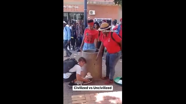 Niggers  being niggers