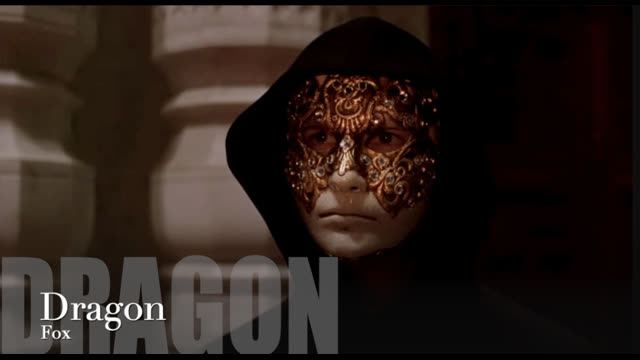 Typical Day as DragonFox