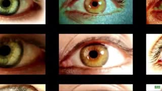 FINAL FREQUENCY ITS RIGHT IN YOUR FACE.