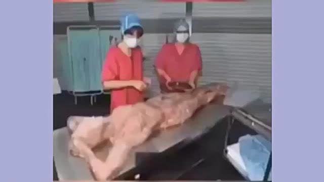 Why I don't eat at McDonald's. Human meat in their products was a real issue