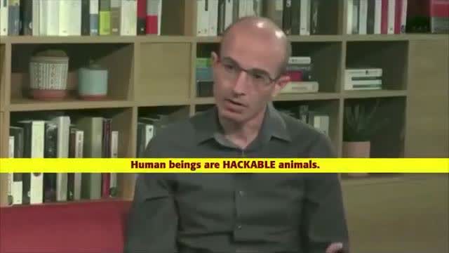 'HUMAN BEINGS ARE HACKABLE ANIMALS'