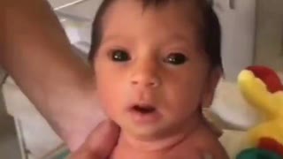 CLOSER VIEW OF THE 'JABDEMIC BABY' POSSIBLE PATENTED HYBRID WITH SOULLESS VACANT STARE