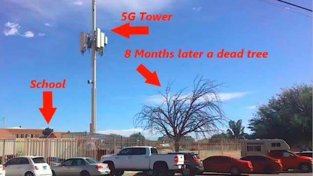 The schools are cooking the kids with 5G radiation