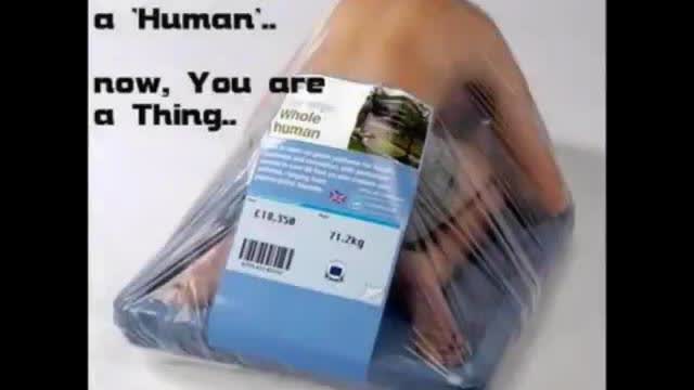 Talmudic Jewish Rabbi Interview