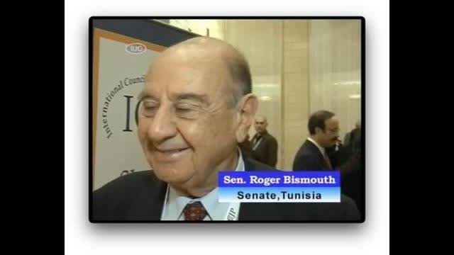 The International Council of Jewish Parliamentarians