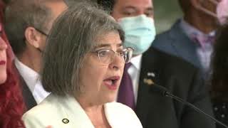 Miami Mayor Daniella Levine Cava: Masks Required In All County Buildings