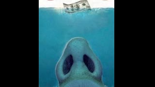 photo_2021-05-07_17-05-38